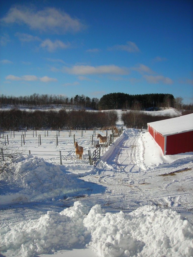 Paddocks and west pasture in winter